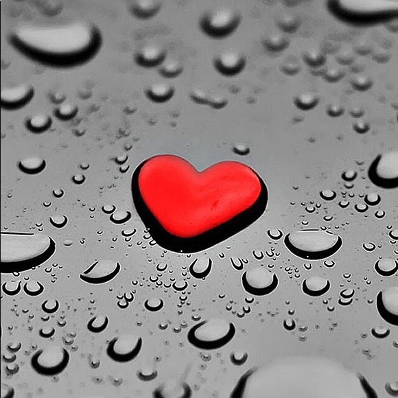 Meet your Posher, Kelly - Picture 1 of 1